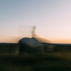 Somatic Experiencing 4- Session Bundle