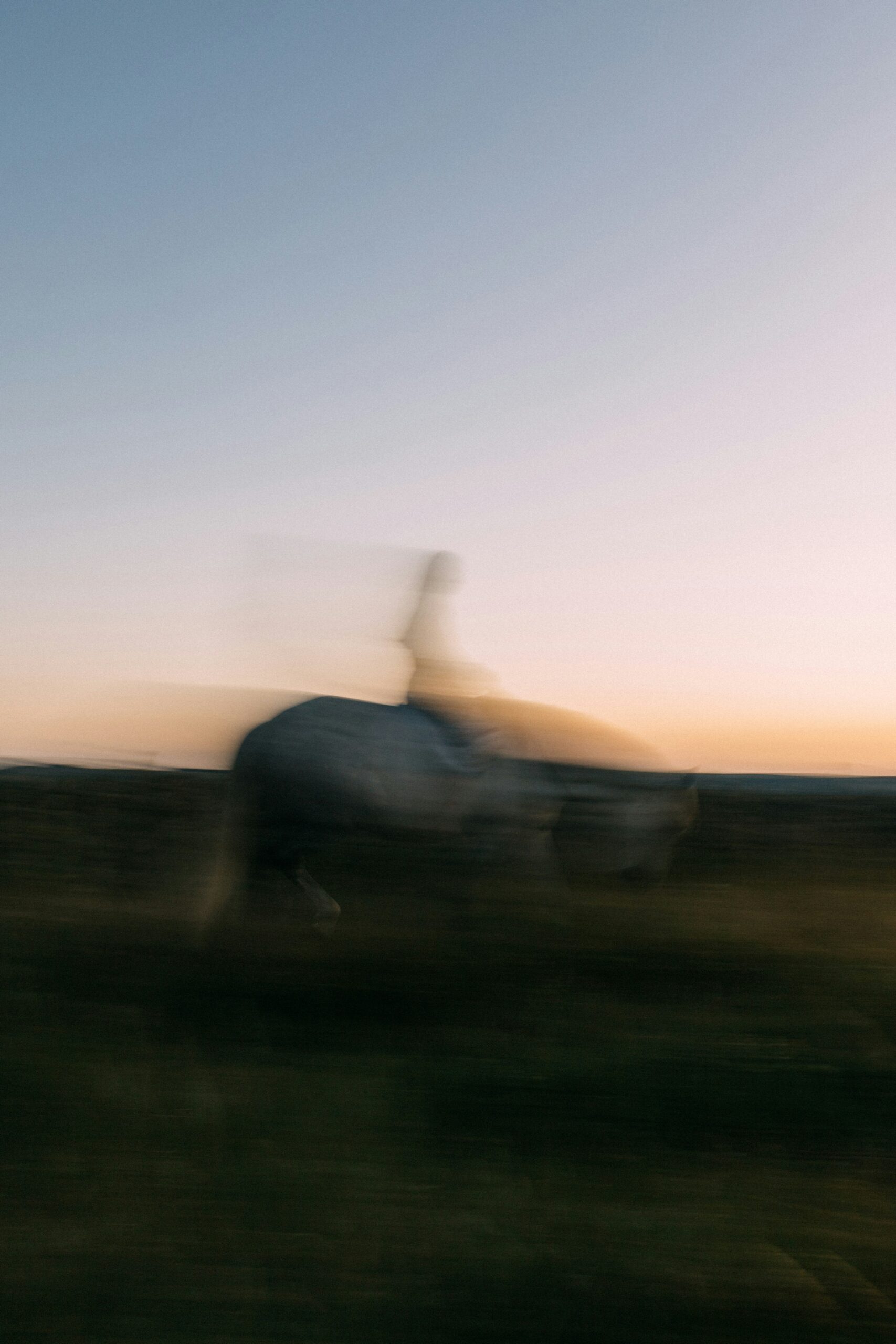 Somatic Experiencing 4- Session Bundle