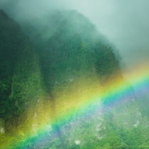 Single Somatic Experiencing Session (zoom or office)